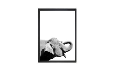 Poster 24×29 cm Damarion Elephant – Tablo Center