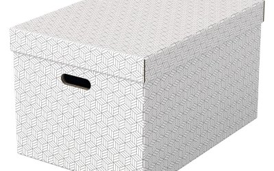 Set 3 cutii depozitare Esselte Home, 35,5 x 51 cm, alb
