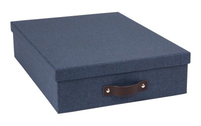 Cutie de depozitare Bigso Box of Sweden Oskar, albastru