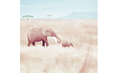Poster 30×40 cm Elephants – Travelposter