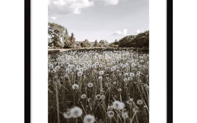 Poster 40×50 cm Meadow