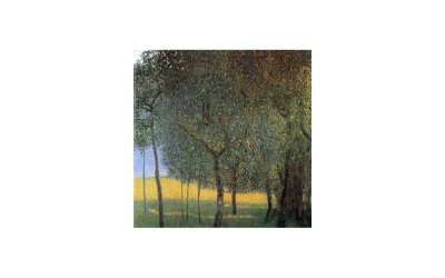 Reproducere tablou Gustav Klimt – Fruit Trees, 45 x 45 cm