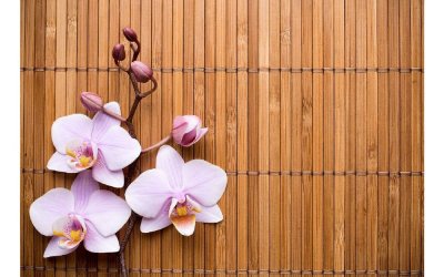 Covoraș din vinilin Orchid, 52 x 75 cm