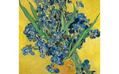 Reproducere pe pânză după Vincent van Gogh – Irises, 60 x 45 cm
