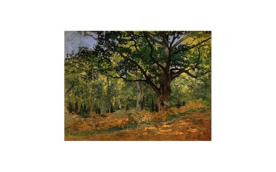 Reproducere pe pânză după Claude Monet – The Bodmer Oak, Fontainebleau Forest, 70 x 50 cm