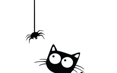 Autocolant Ambiance Cat And Spider