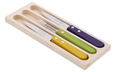 Set 2 cuțite și curățător din inox pentru legume, în cutie de cadou Jean Dubost Vegetable