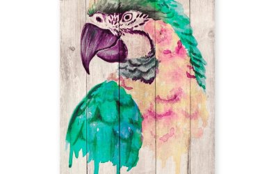 Decorațiune din lemn de pin pentru perete Madre Selva Watercolor Parrot, 60 x 40 cm