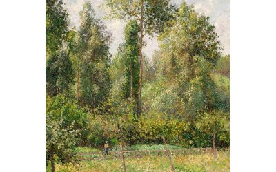 Reproducere tablou Camille Pissarro – Poplars Éragny, 60 x 80 cm