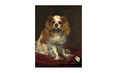 Reproducere tablou Édouard Manet – A King Charles Spaniel, 40 x 30 cm
