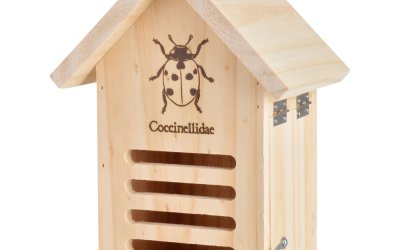 Căsuță din lemn pentru buburuze Esschert Design