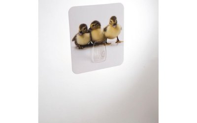 Cârlig de perete Compactor Magic Ducks
